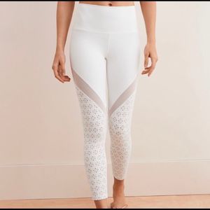 Aerie mesh floral leggings